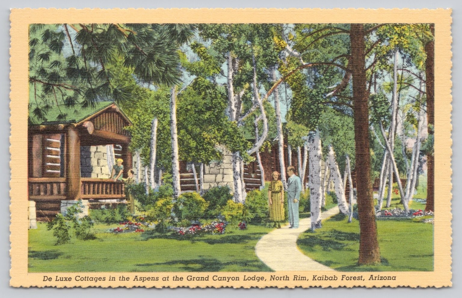 Grand Canyon Lodge North Rim Cottages Kaibab Forest Arizona Linen Postcard