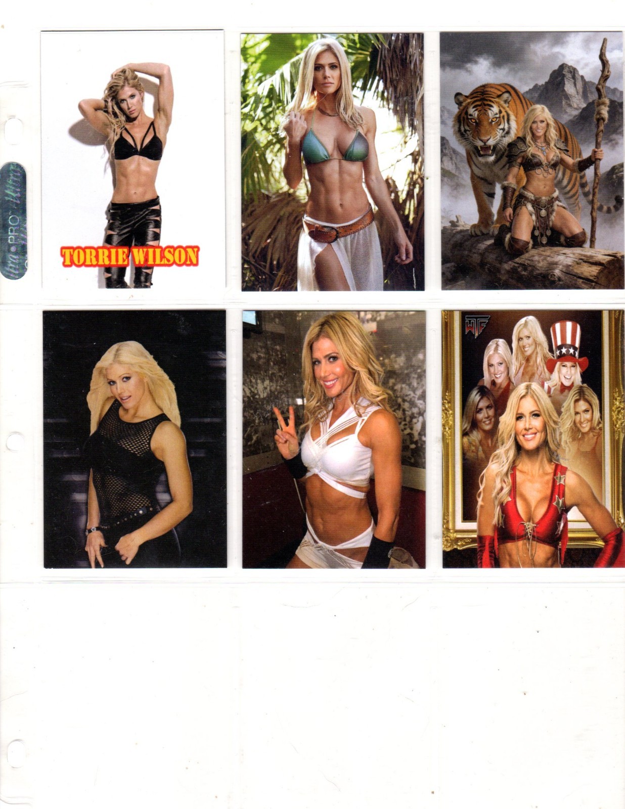 TORRIE WILSON   CUSTOM TRADING CARD 6 CARDS  SET