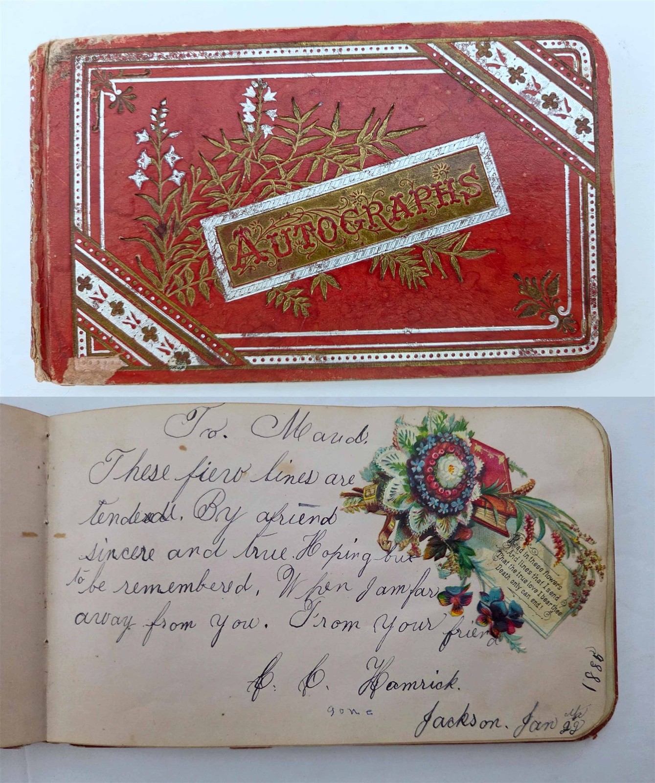 1883 antique AUTOGRAPH ALBUM sacramento ca MAUD VANDAMENT die cut scrapbook