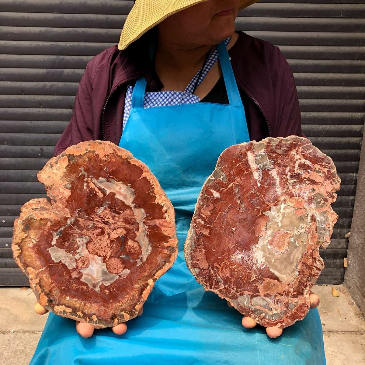 2pcs 6.86 LB Natural Petrified Wood Crystal Fossil Slice Crystal Specimen 6190