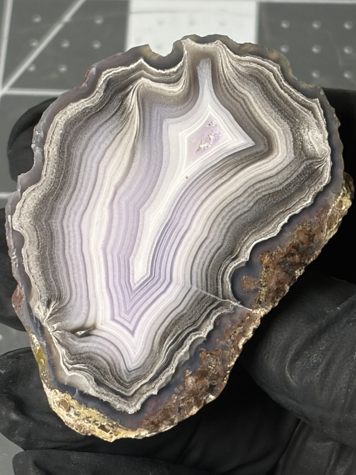 Purple Passion Agate Face Polished Specimen Excellent Banding Mexico Laguna 