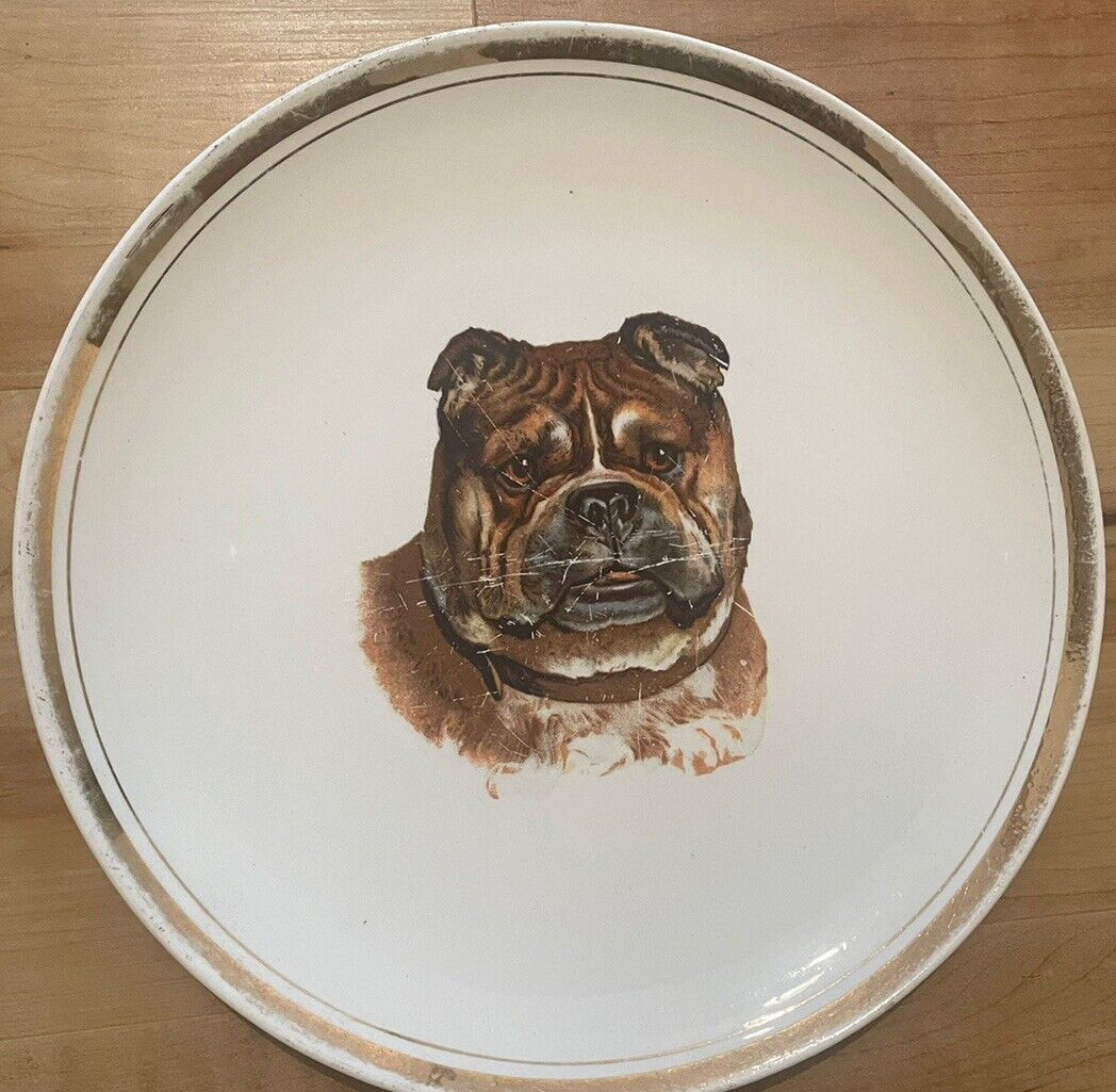Vintage early 1900’s Sevres Bulldog Pug Dog Collector Plate W/ Gold Trim