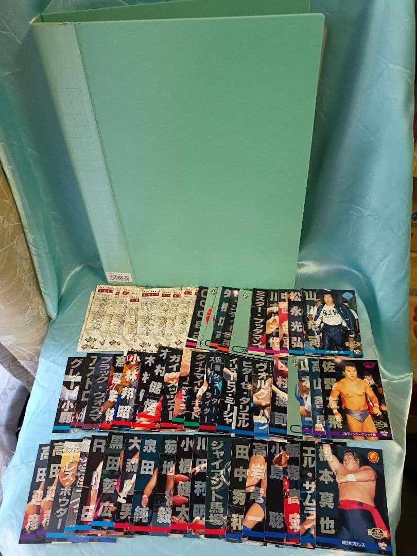 All Japan Women Pro Wrestling BBM 96 Card Set with Duplicates