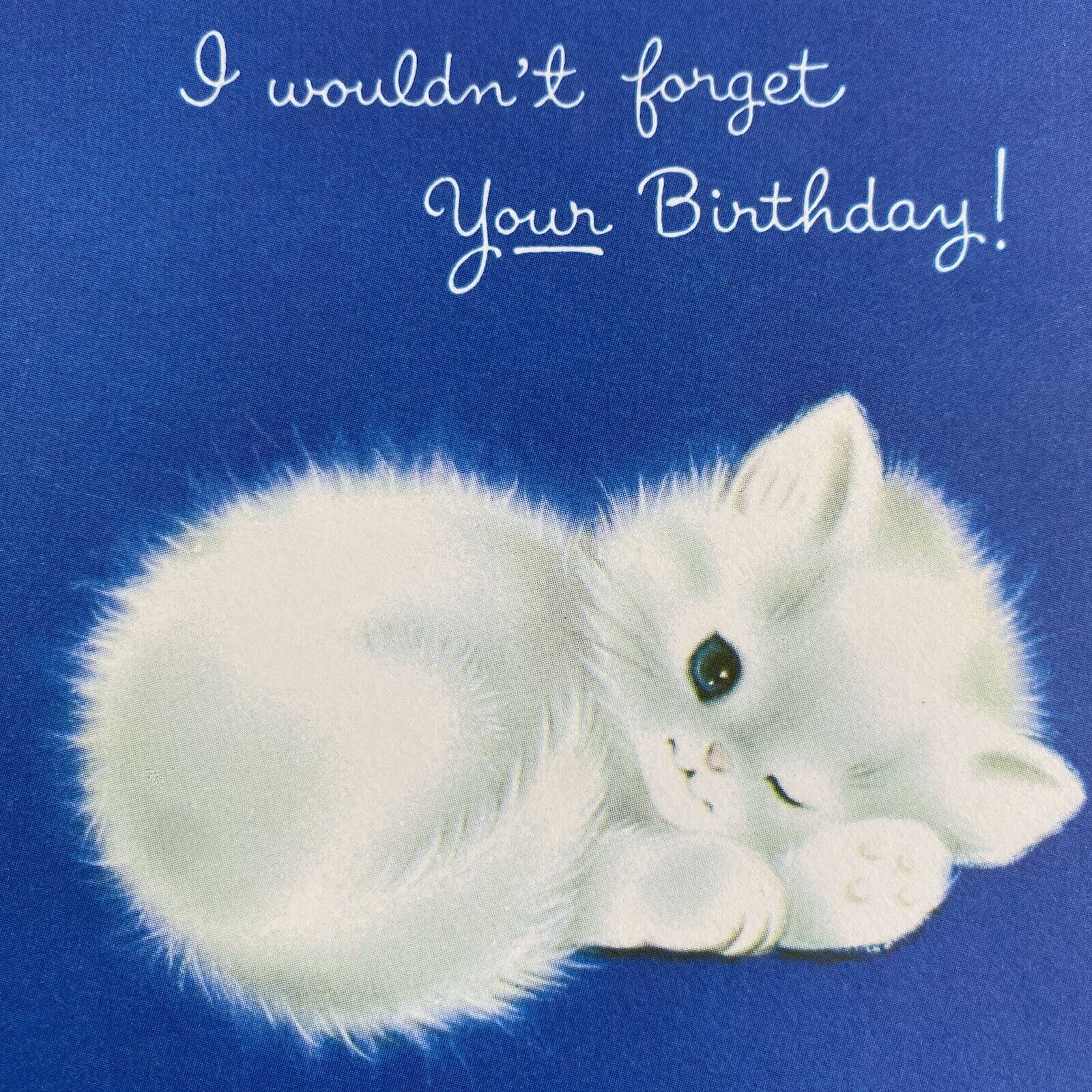 Vintage Mid Century Greeting Card Birthday Cute White Kitten Cat Blue Norcross