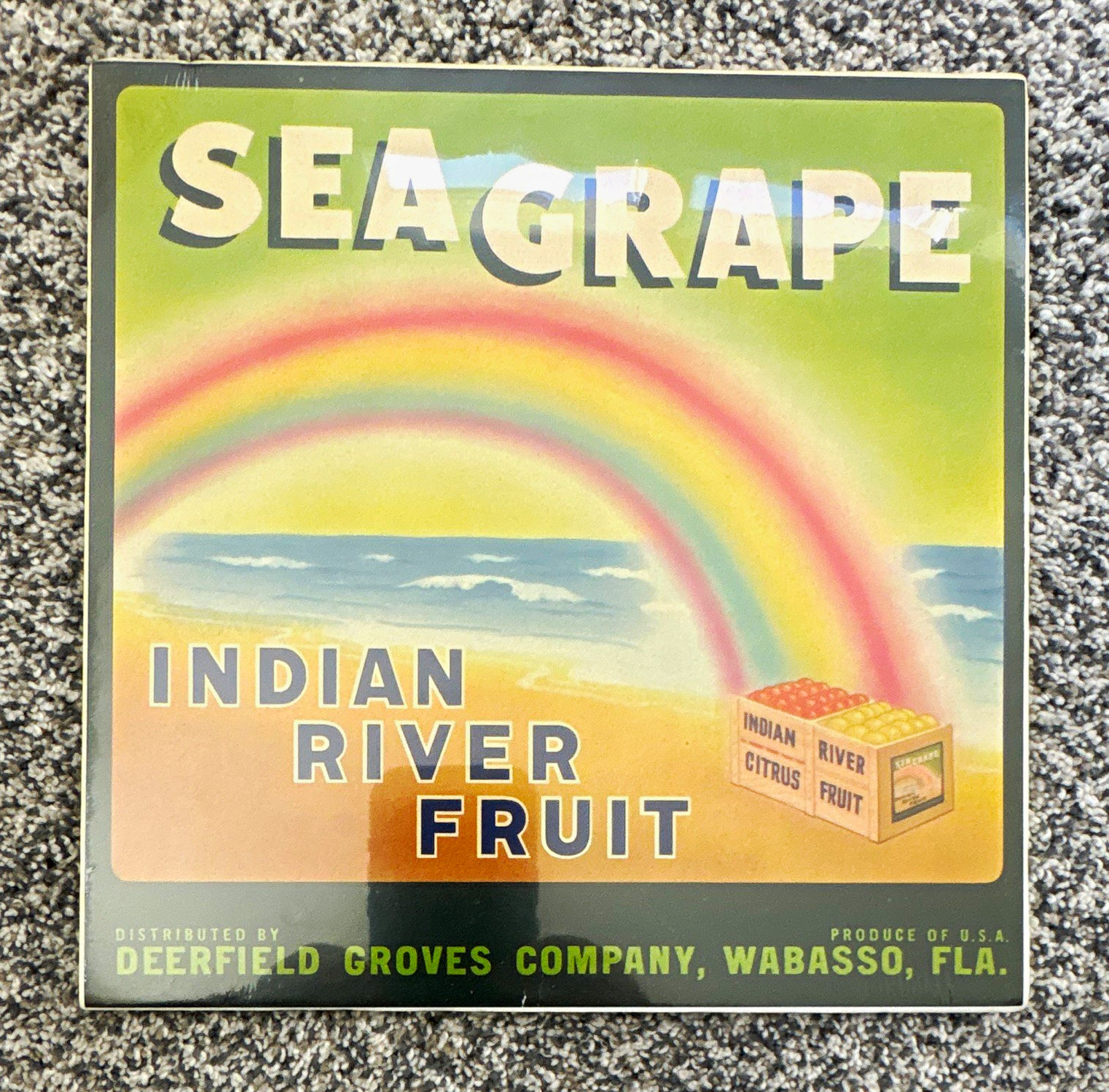 Sea Grape Indian River Citrus Fruit Advertising Label, Green/Multicolor vintage 