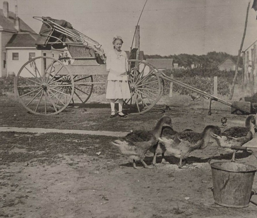 RPPC Real Photo Postcard US Farm 1916 Girl Ducks Buggy Wagon Unposted VTG