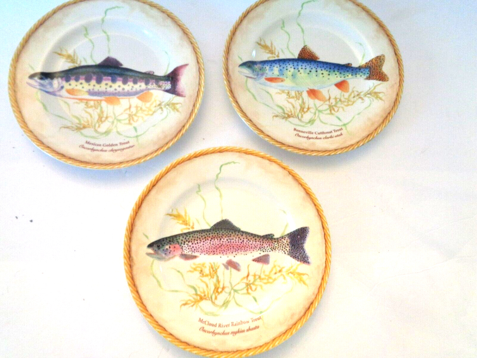 THREE AMERICAN ATELIER RAINBOW RIVER TROUT DECORATED 8-1/4\