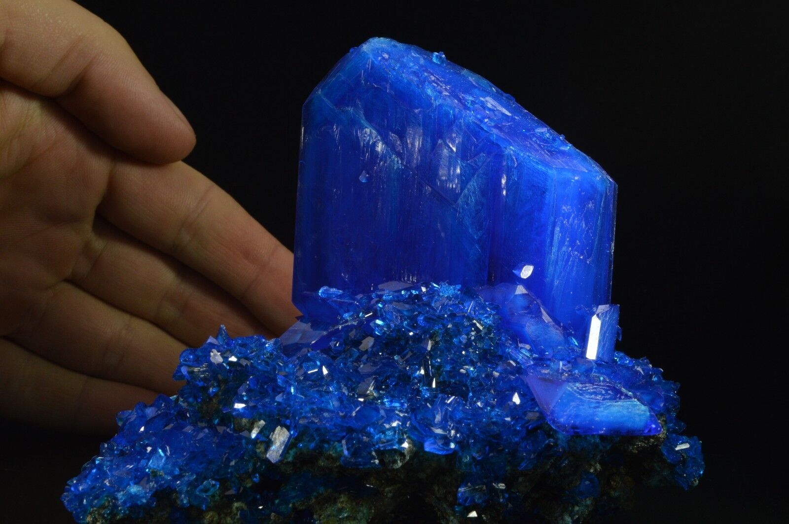 Chalcanthite BIG blue crystal matrix Poland specimen copper sulfur like azurite