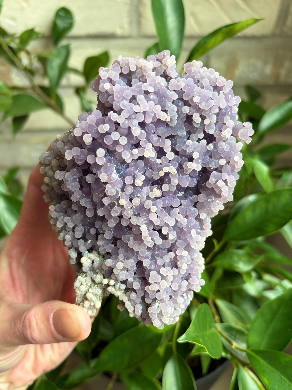 Large Grape Agate Cabinet Specimen 442g 15.6oz Mamuju, Indonesia Purple Crystal