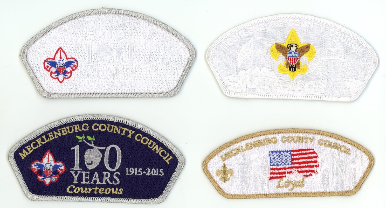 BSA - Mecklenburg County - FOS CSPs BSA - Mecklenburg County - FOS CSPs
