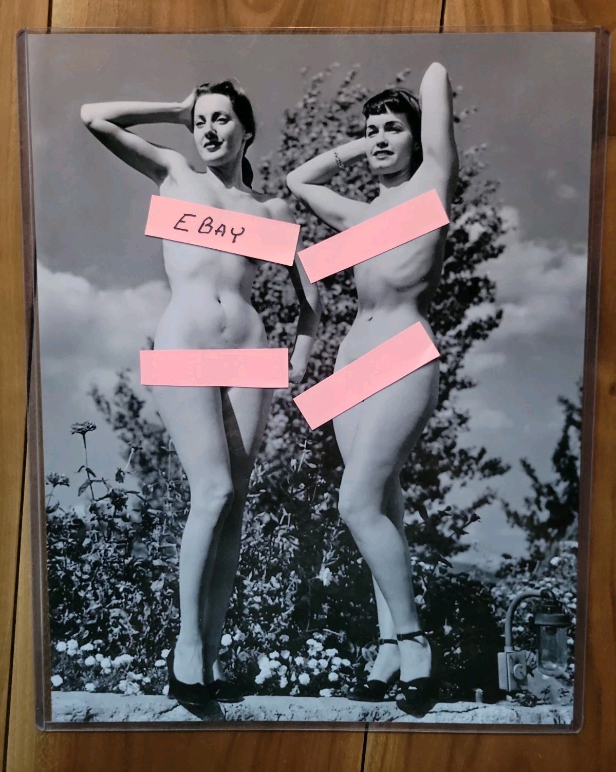 Bettie Page & Dolores Del Monte 1954 Posing Pinup's 11 X 14 Photograph 
