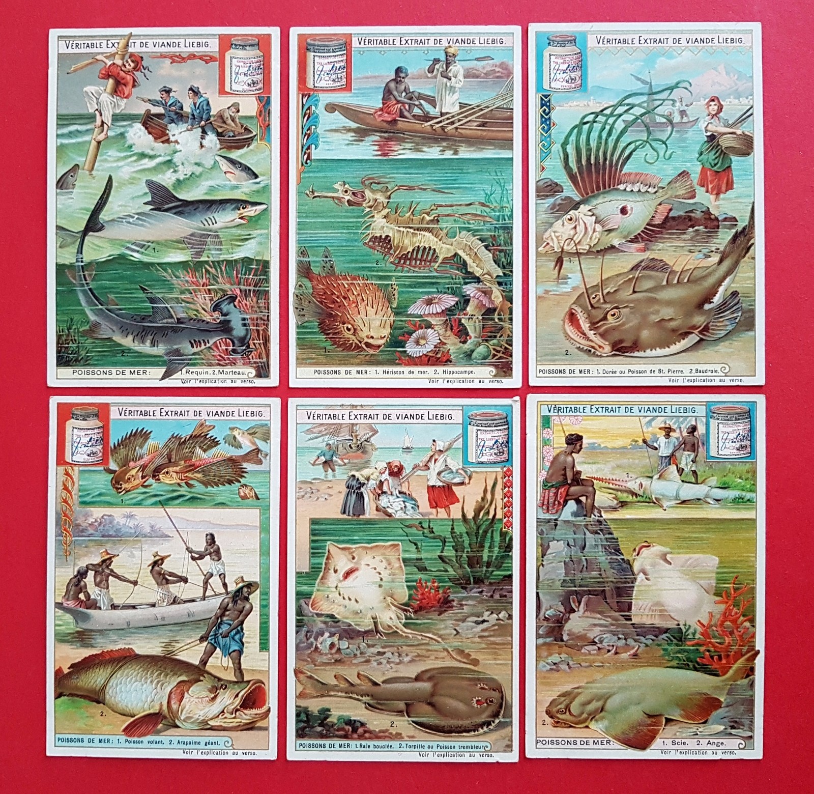 6 x Liebig collectable pictures in French (20513