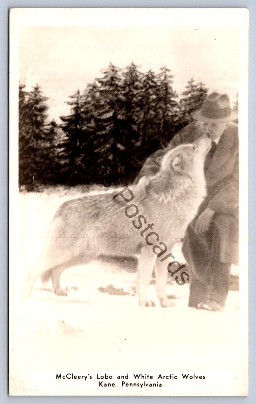 K69/ Kane Pennsylvania RPPC Postcard c1950s McCleery\'s Lobo Wolves Farm 138