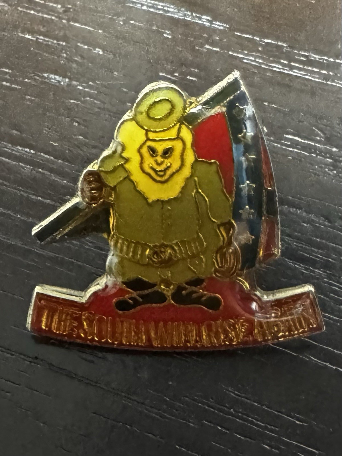 Vintage CSA “The South Will Rise Again” Collectible Pin Vintage CSA “The South Will Rise Again” Collectible Pin