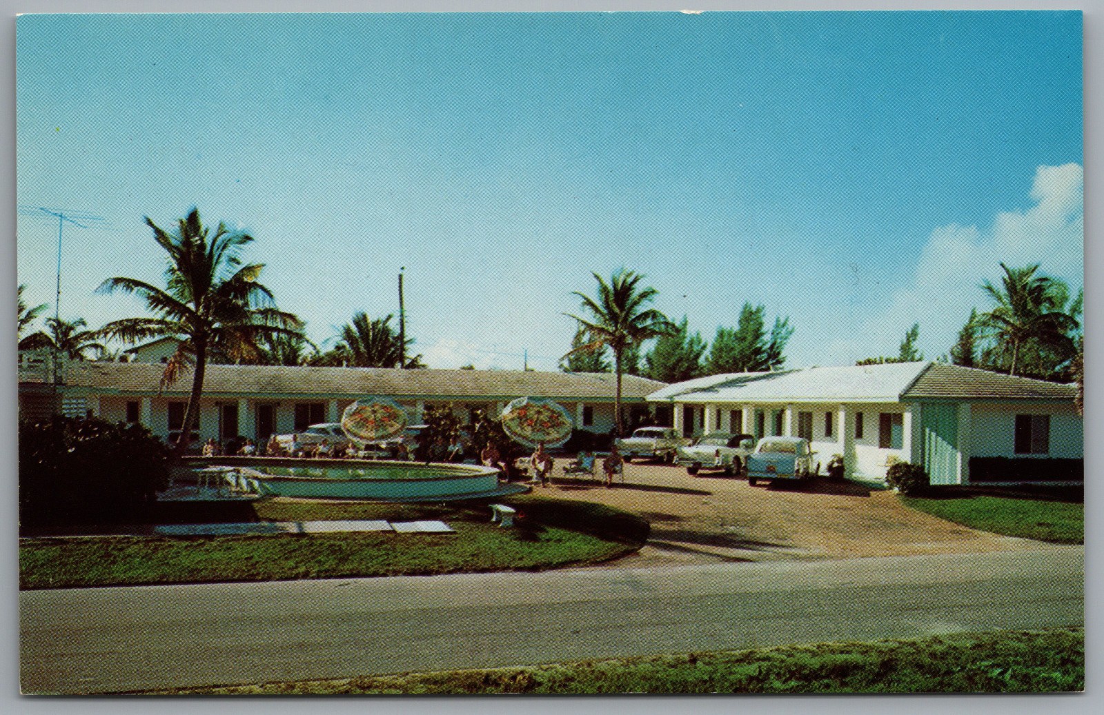 Riviera Beach FL Singer Island Ocean Surf Apts Motel Pool Cars c1958 Postcard