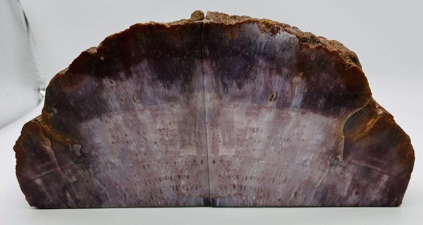 Old ANCIENT FOSSIL Matching Set Petrified Tree Wood w/Bark Edge Bookends 8 lbs