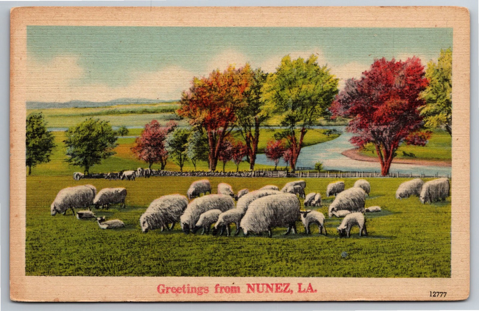 LA, Nunez, Greetings, Sheep, Linen, Vintage Postcard
