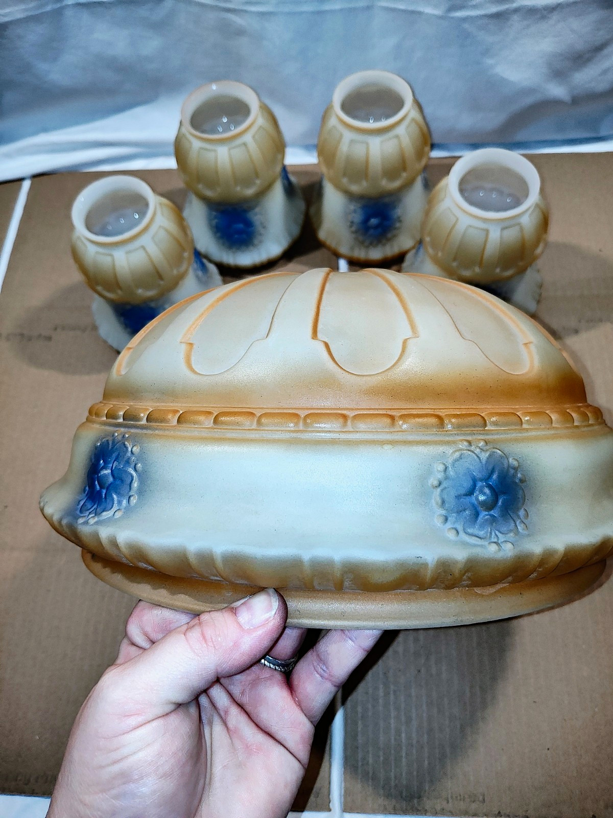 Vintage Art Deco Frosted Glass Lamp Shade Set Blue Embossed Floral 5pc Set