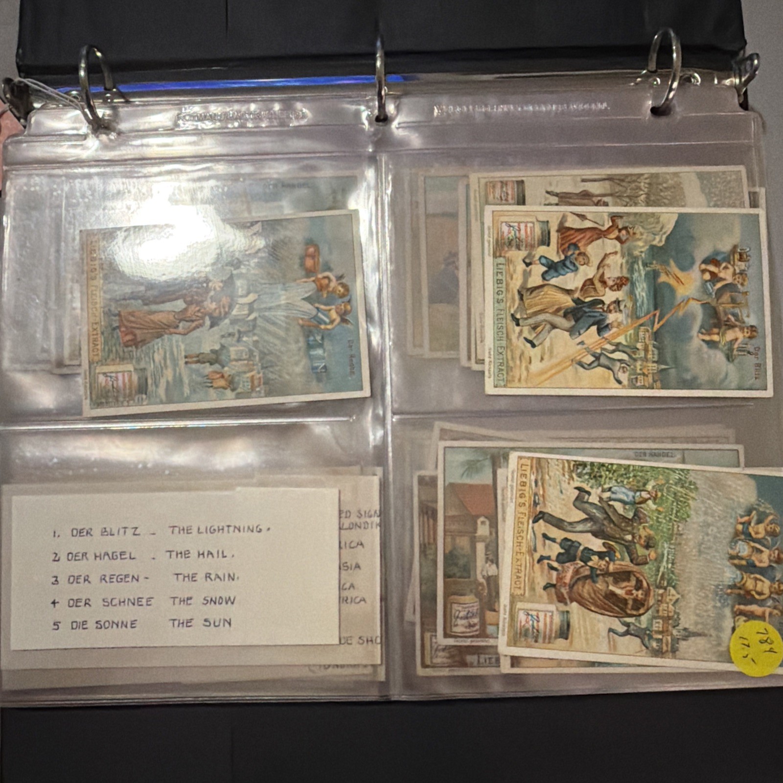 1909 Victorian Trade Card Set - Liebig's Fleisch-Extract-Lot of 10 Sets
