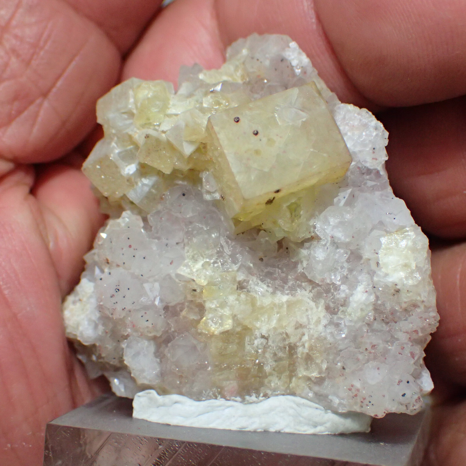 Fluorite with Quartz, Pohla, Erzgebirge, Saxony, Germany