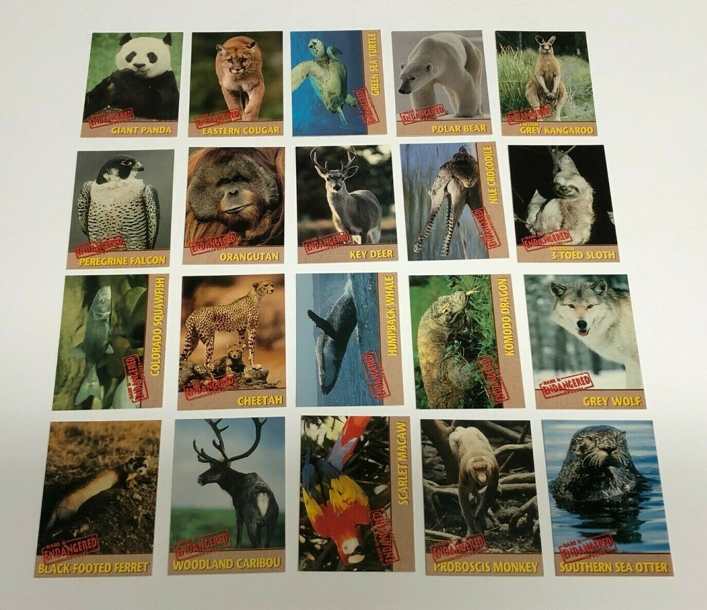 1992 Rare & Endangered Species Trading Cards Complete Set (1-20) NRMT/MT