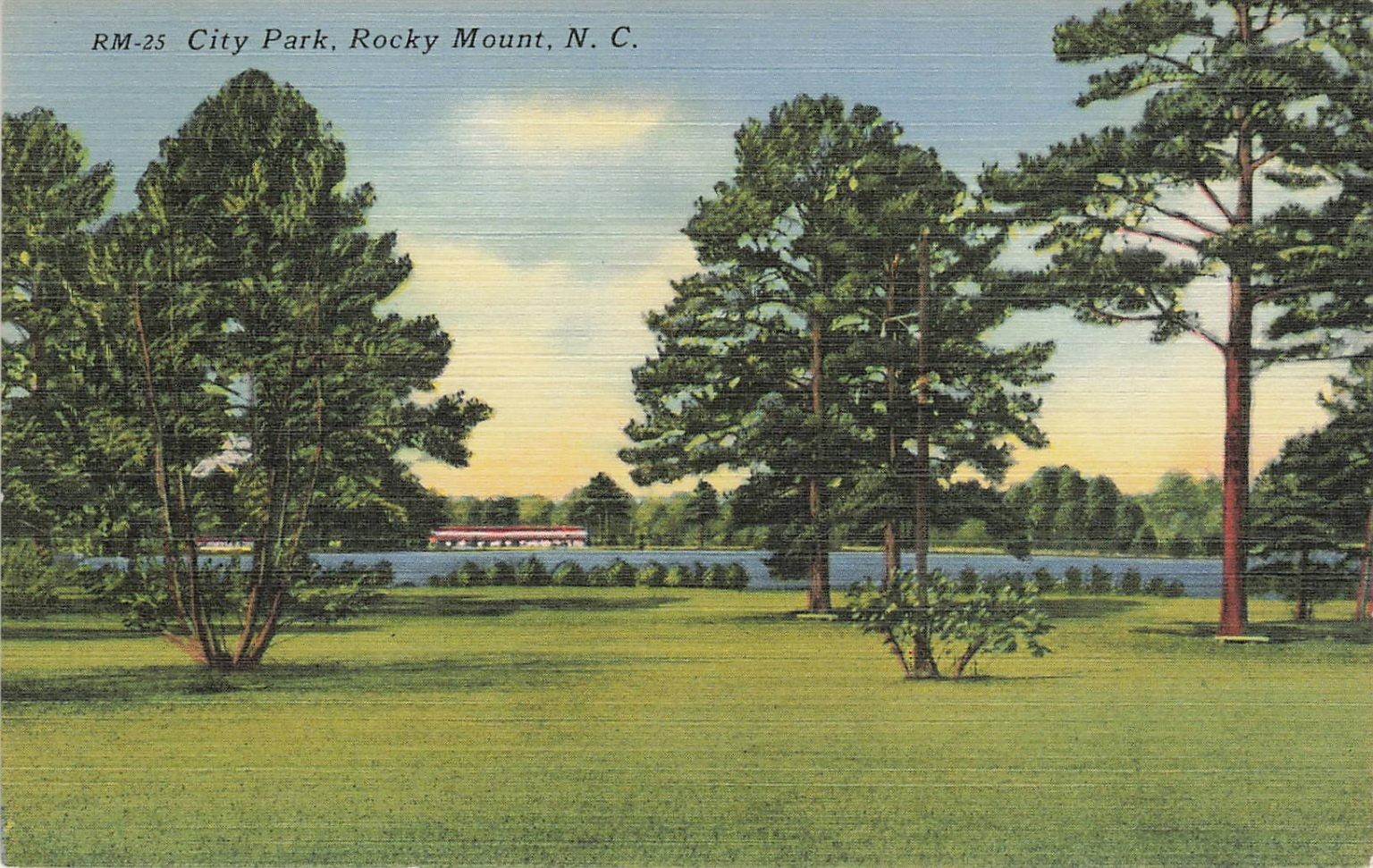 Vintage Linen Postcard City Park Rocky Mount NC Asheville Post Card Co.