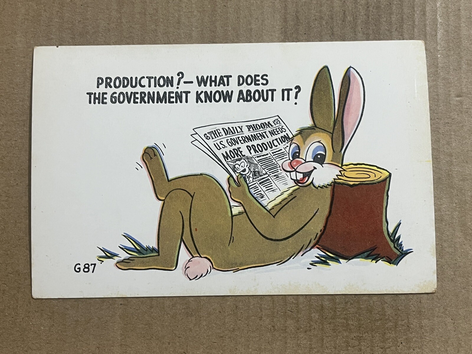 Postcard Comic Humor Bunny Rabbit Newspaper Production What does Government Know