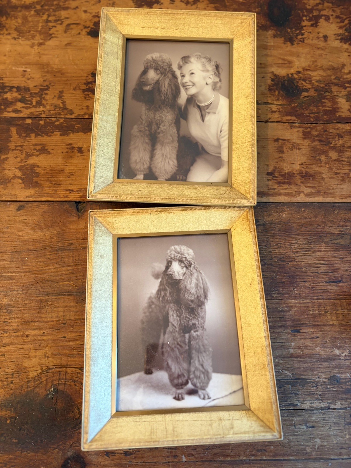 Vintage Standard Poodle & Owner B&W Framed Tabletop Photographs 9x7 Set Of 2