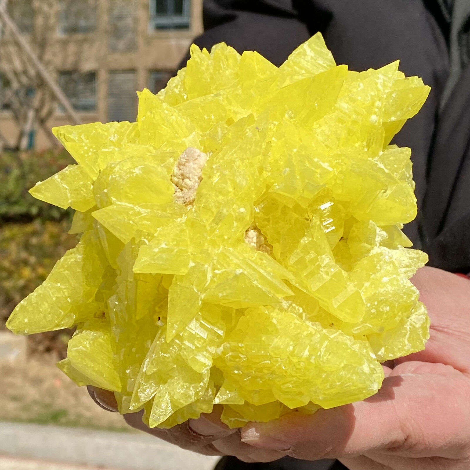 2.1LB Rare yellow sulfur crystal quartz crystal mineral specimen