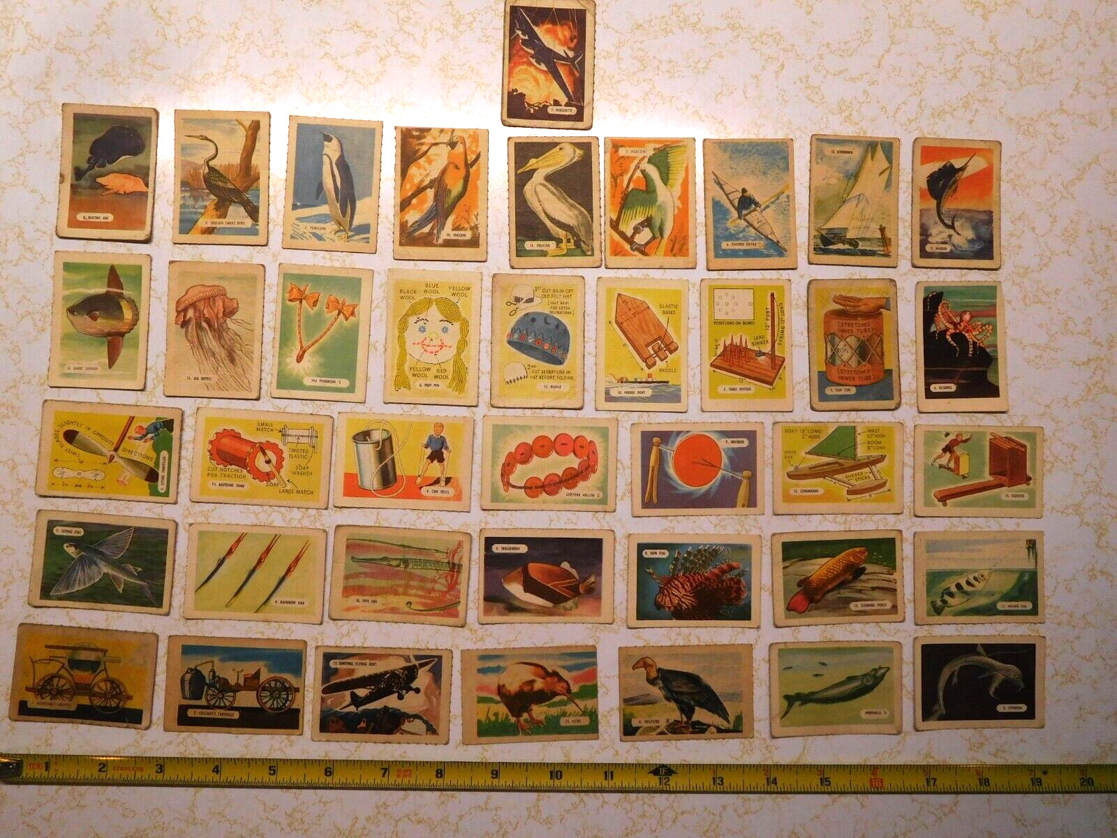 40 Vintage Kellogg's Cards - Science Projects, Birds, Fish, Transportation