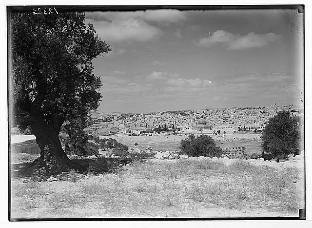 Photo:Jerusalem Israel 1900s Mount of Olives City Panorama