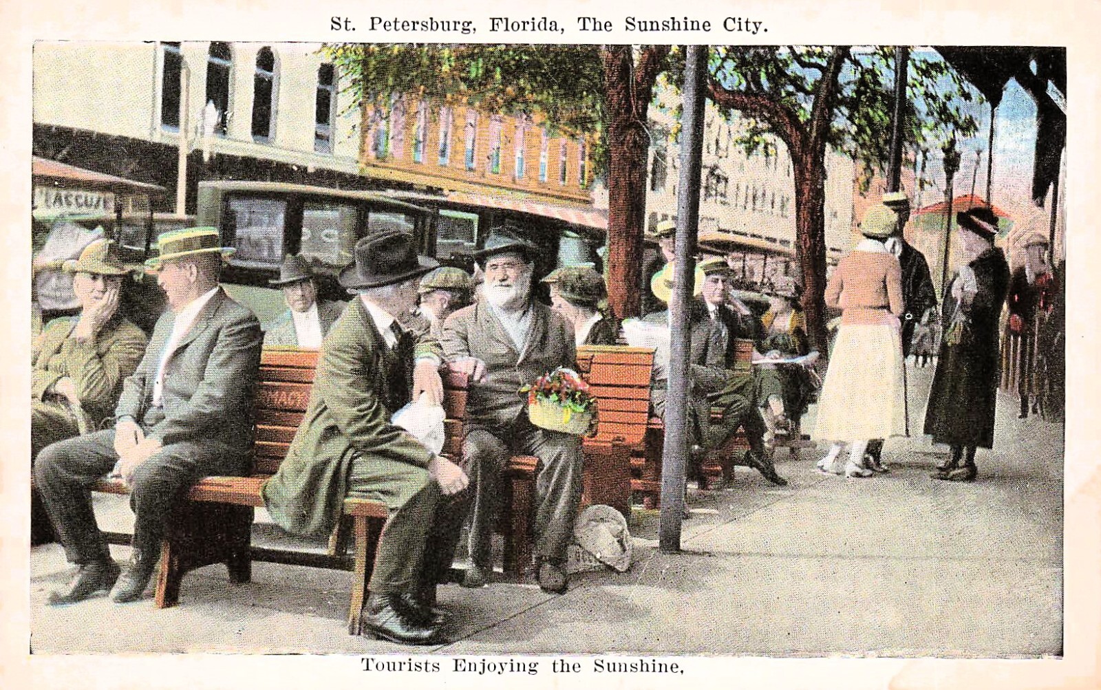 St Petersburg Florida Green Brown Benches Downtown Early 1900s Vtg Postcard E58