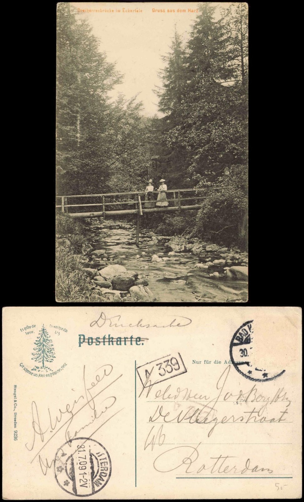 Eckertal-Bad Harzburg Three Herrenbrücke in the Eckertale greeting from the Harz 1909