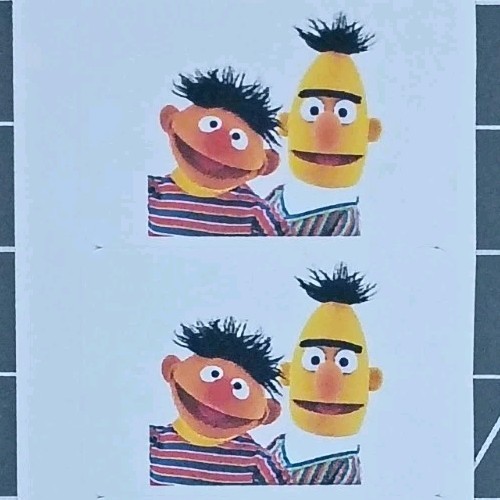 5-PCS BERT & ERNIE 1