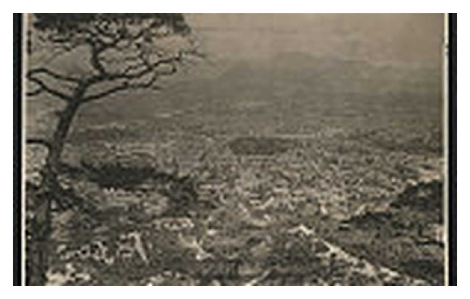 Seoul South Korea Birdseye View Standard Postcard Seoul South Korea Birdseye View Standard Postcard