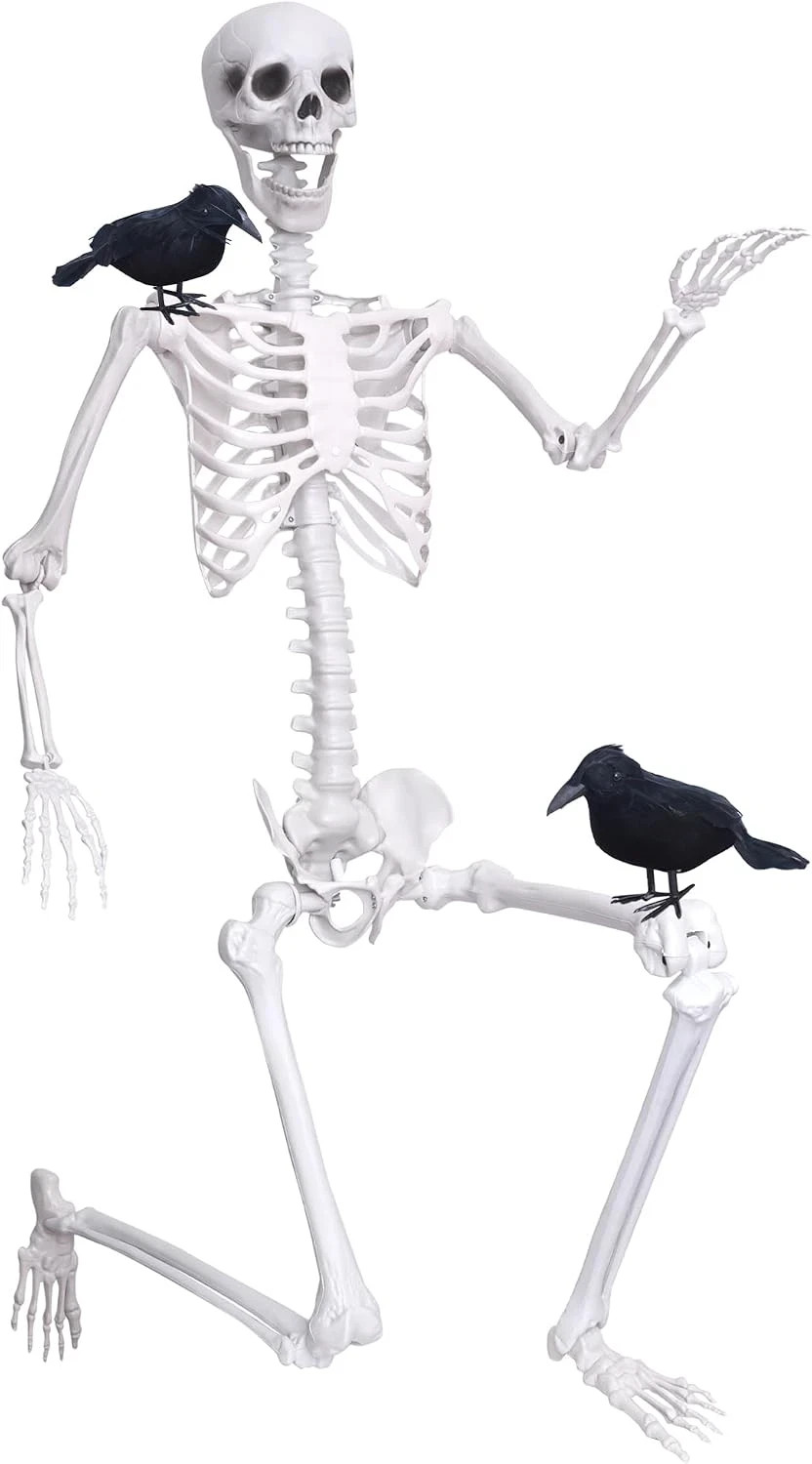 Wocst 6Ft Life Size Skeleton Posable Skeleton with Movable Joints Halloween Full