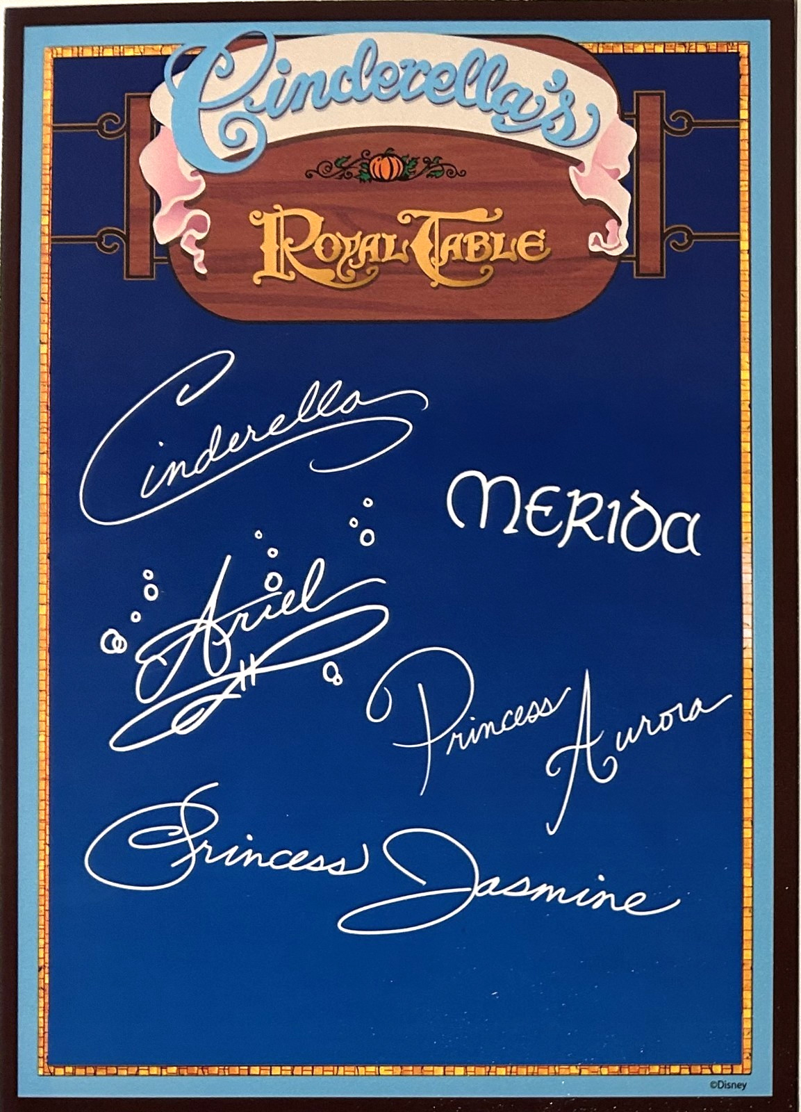 Cinderellas Royal Table Ariel Jasmine Aurora Merida Autograph Card Disney World