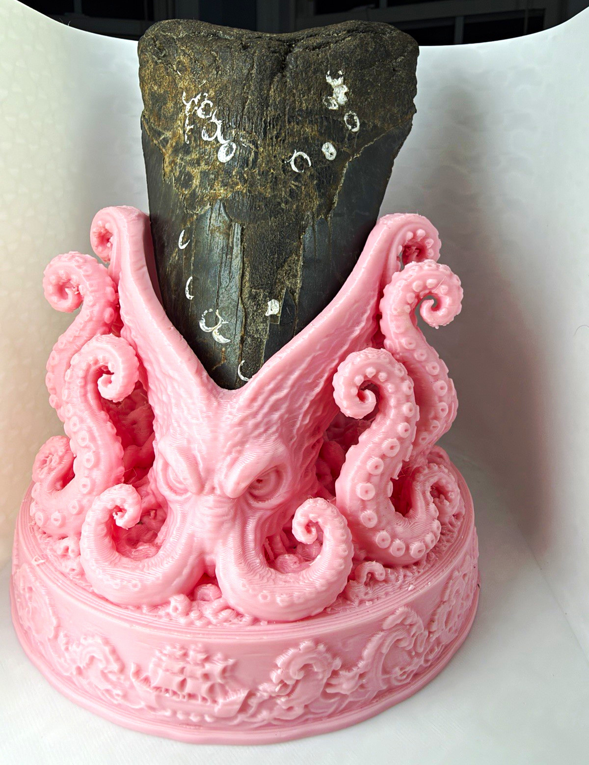 Megaldon tooth stand Pink kraken  Display Stand fossil shark tooth