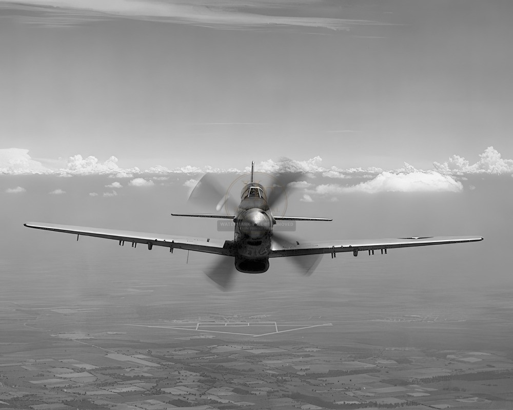 Mustang P-51 and P-51D Fighter Aircraft WWII 8x10 Glossy Photo Print HT4136740