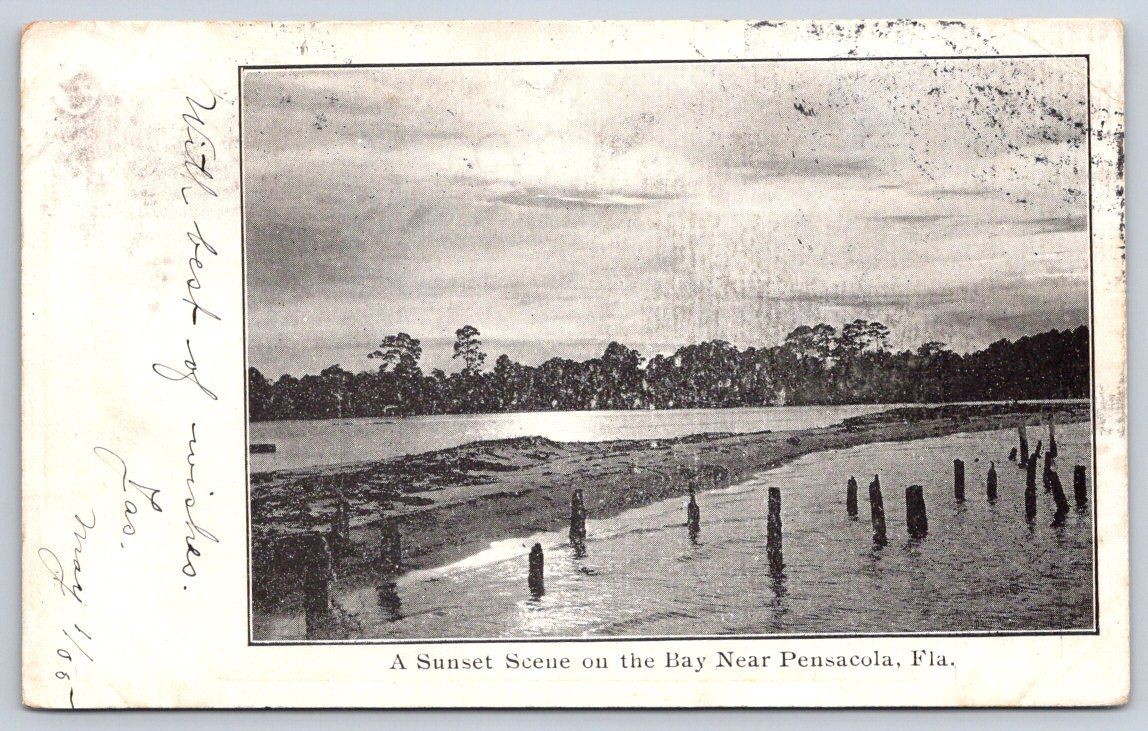 Antique Florida Postcard PENSACOLA Sunset Scene on the Bay 1905