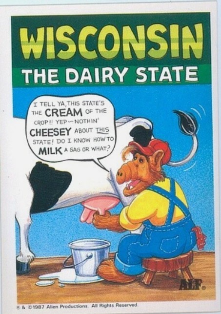 U.S. of ALF Super Sticker — Wisconsin (1987, Zoot) U.S. of ALF Super Sticker — Wisconsin (1987, Zoot)