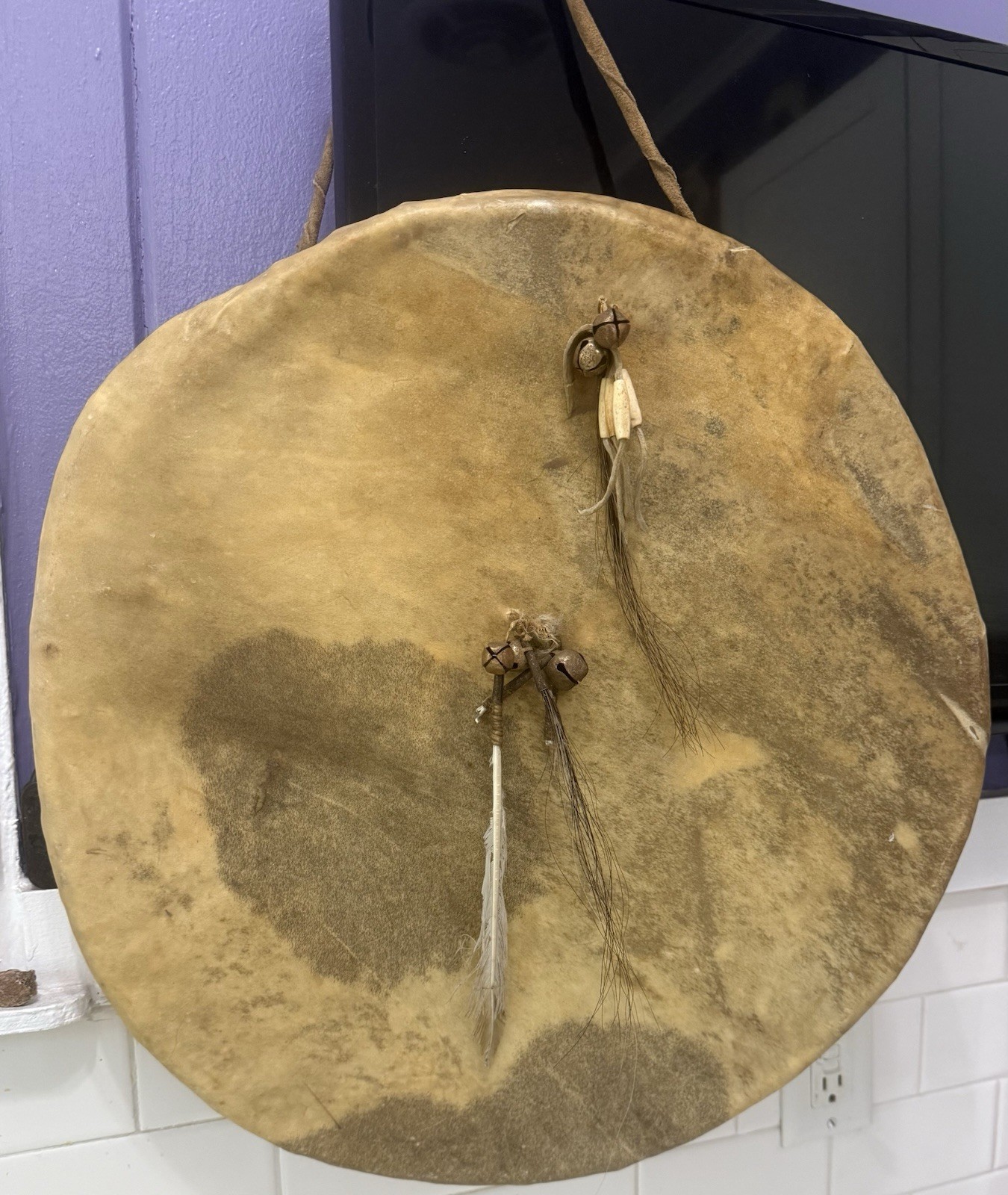 Antique LARGE 20” Native American Plains Buffalo Hide Shield Hawk Bells Feathers