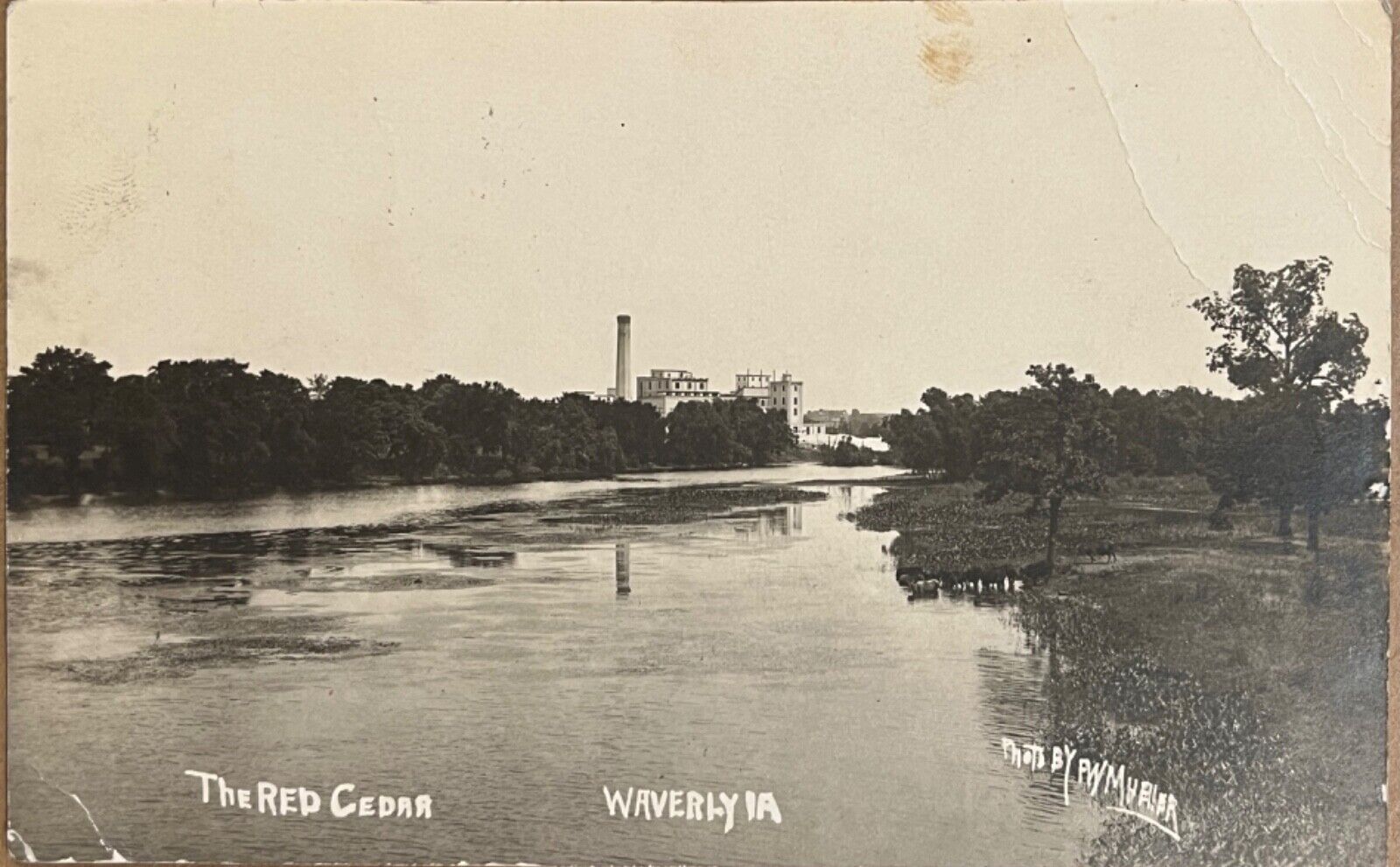 RPPC Waverly Iowa Red Cedar River Vintage Real Photo Postcard c1910