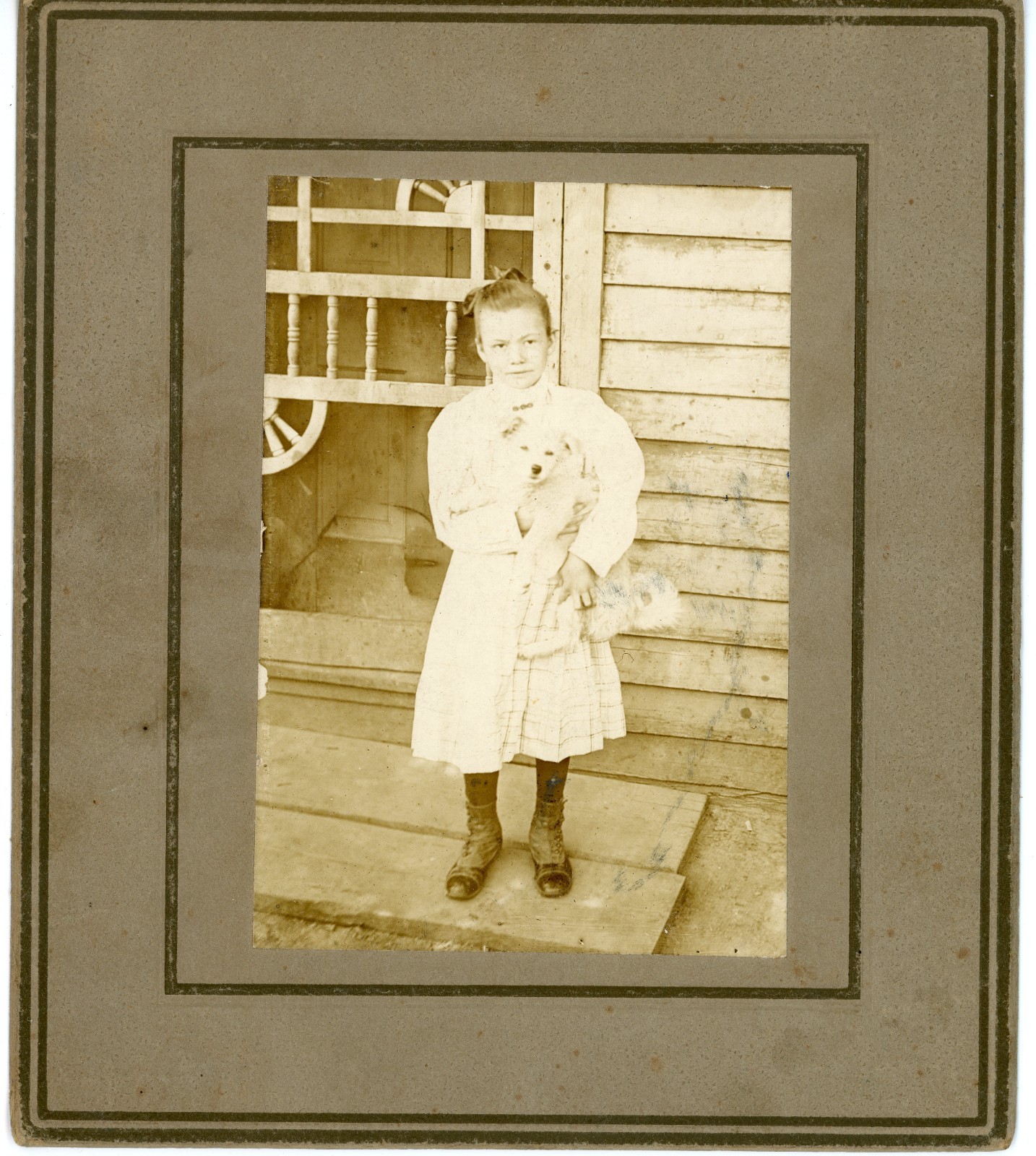 Lovely Young Victorian Girl with Puppy Original Vintage Photograph