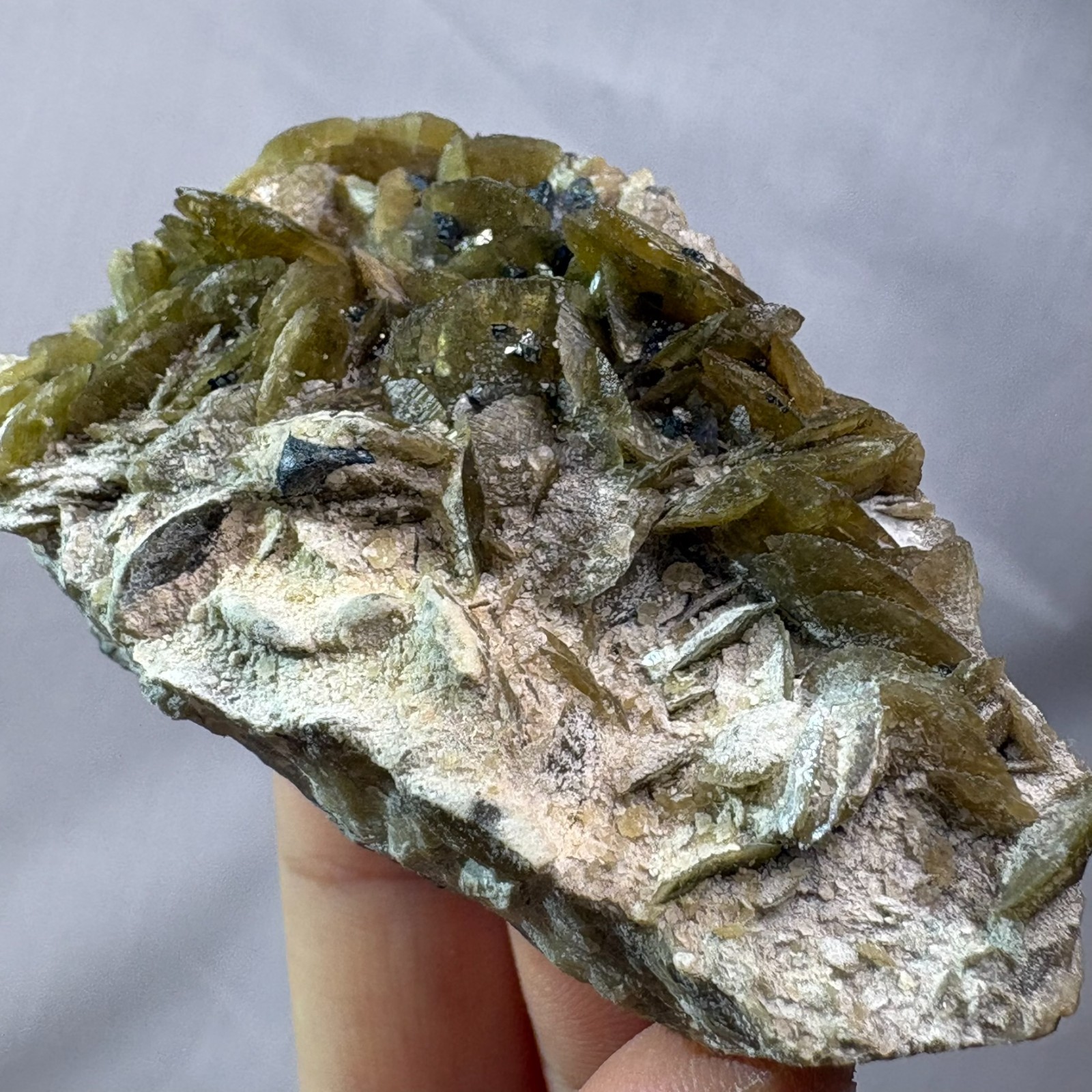 Natural Siderite Rosette Cluster Raw Mineral Specimen Reiki Guizhou Reiki Heal