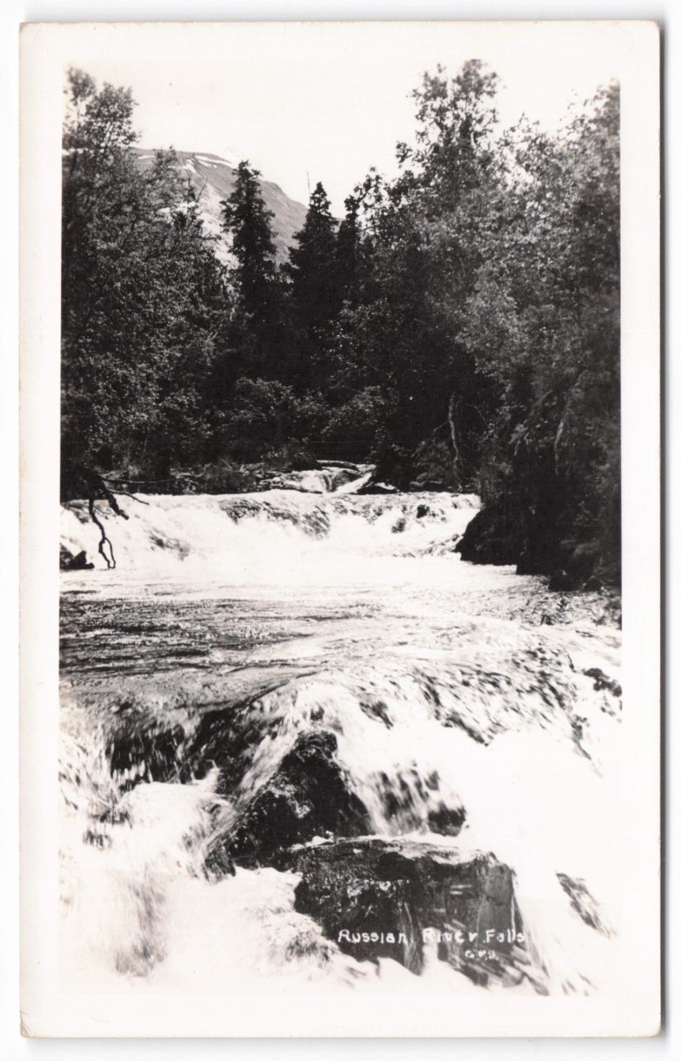 Vintage RPPC Russian River Falls Alaska Real Photo Postcard Kenai Peninsula