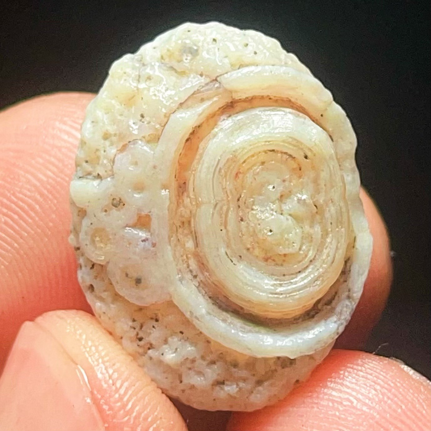 TOP 7G Natural Inner Mongolia Gobi Agate Eye Agate Crystal Stone Healing L6809