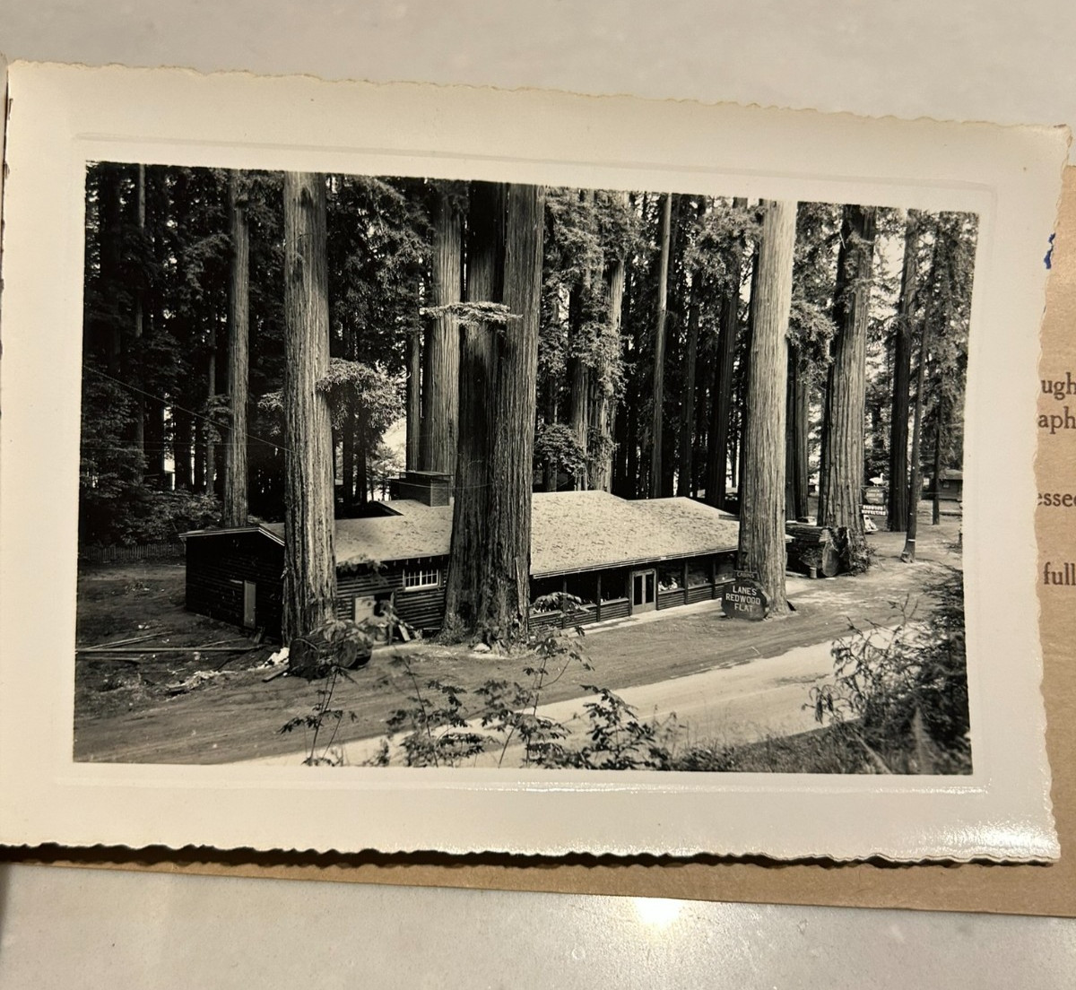 Vintage 1930s Panel Art 8 Photos Redwood Empire Lanes Redwood Flat Album