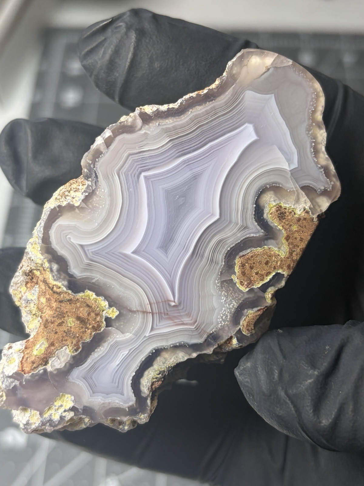 Stunning Laguna Agate Specimen Face Polished Banded Mexico
