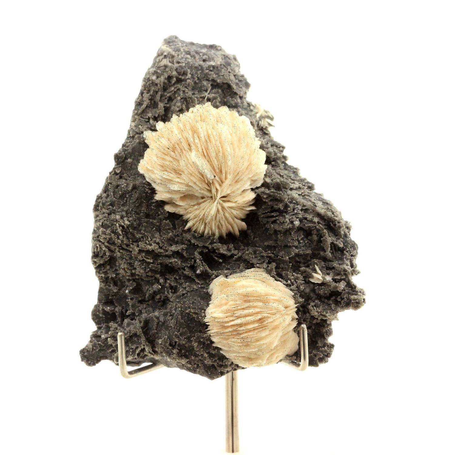 Minerals And Precious Stones. Baryte. 480.30 CT. Les Cèdres Mine, Montdardier
